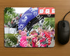 Evenement foto: Nijmeegse Vierdaagse 363