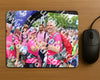 Evenement foto: Nijmeegse Vierdaagse 363