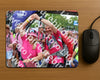 Evenement foto: Nijmeegse Vierdaagse 363
