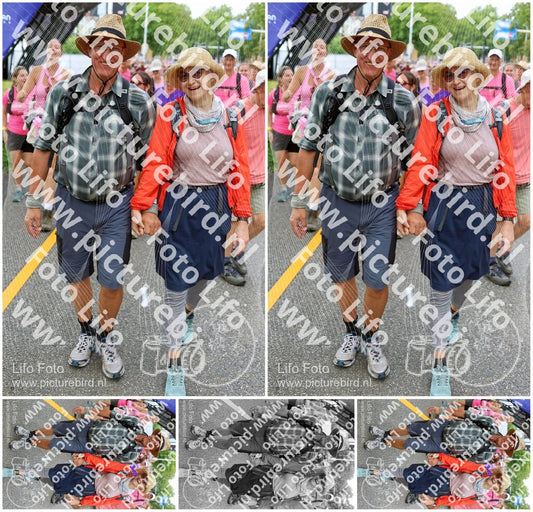 Evenement foto: Nijmeegse Vierdaagse 363