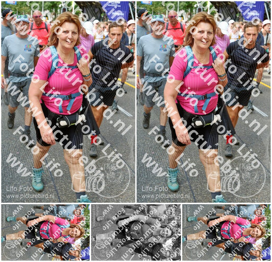 Evenement foto: Nijmeegse Vierdaagse 362