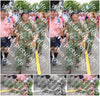 Evenement foto: Nijmeegse Vierdaagse 362