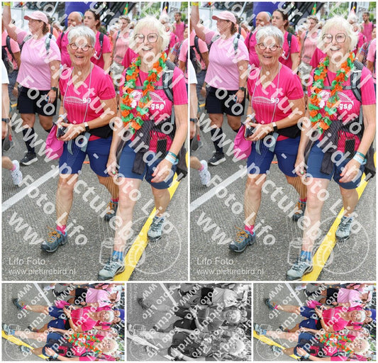 Evenement foto: Nijmeegse Vierdaagse 362