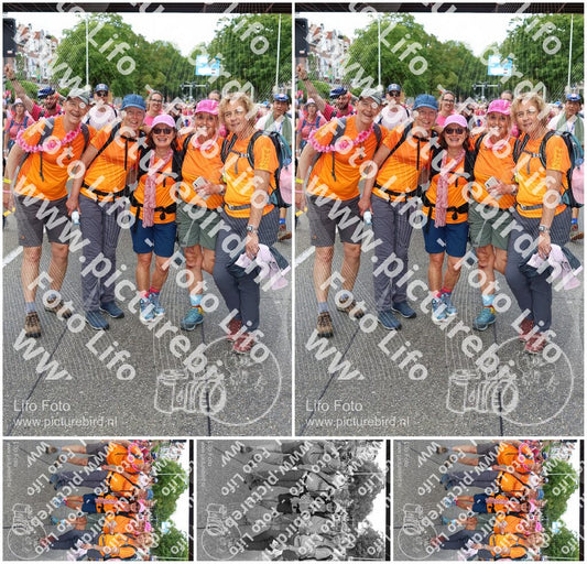 Evenement foto: Nijmeegse Vierdaagse 362