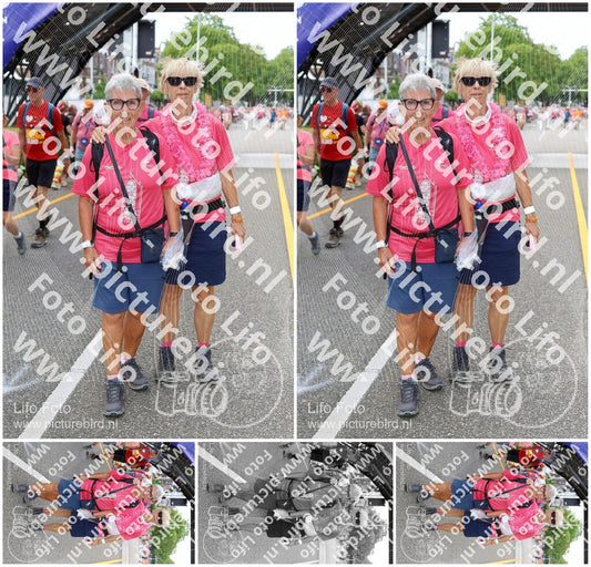 Evenement foto: Nijmeegse Vierdaagse 362