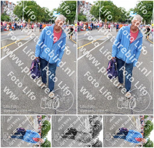 Evenement foto: Nijmeegse Vierdaagse 362