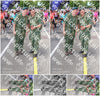 Evenement foto: Nijmeegse Vierdaagse 361
