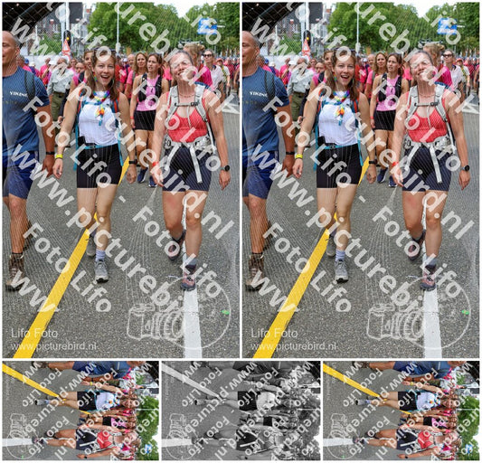 Evenement foto: Nijmeegse Vierdaagse 361