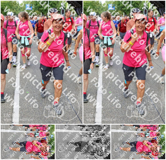Evenement foto: Nijmeegse Vierdaagse 361