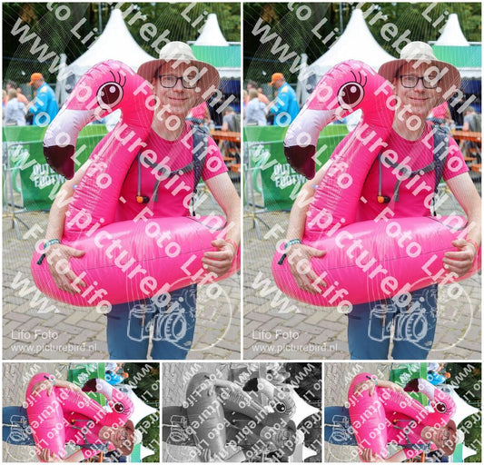 Evenement foto: Nijmeegse Vierdaagse 351