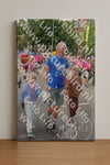 Evenement foto: Nijmeegse Vierdaagse 351