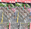 Evenement foto: Nijmeegse Vierdaagse 351