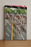 Evenement foto: Nijmeegse Vierdaagse 351