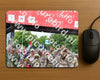 Evenement foto: Nijmeegse Vierdaagse 351
