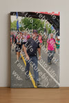 Evenement foto: Nijmeegse Vierdaagse 351