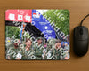 Evenement foto: Nijmeegse Vierdaagse 351