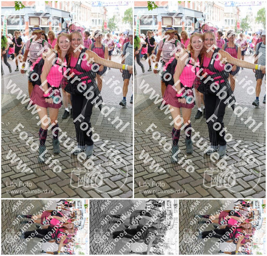 Evenement foto: Nijmeegse Vierdaagse 351