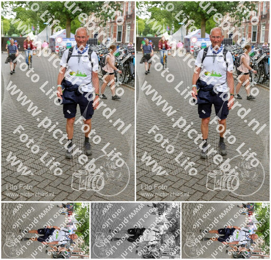 Evenement foto: Nijmeegse Vierdaagse 351