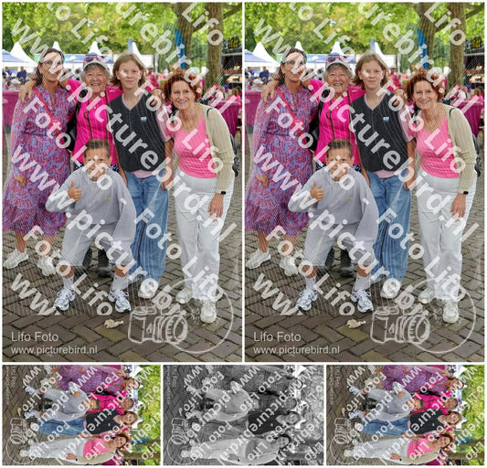 Evenement foto: Nijmeegse Vierdaagse 351