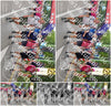 Evenement foto: Nijmeegse Vierdaagse 351