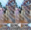 Evenement foto: Nijmeegse Vierdaagse 1108