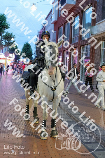 Evenement foto: Nijmeegse Vierdaagse 1108