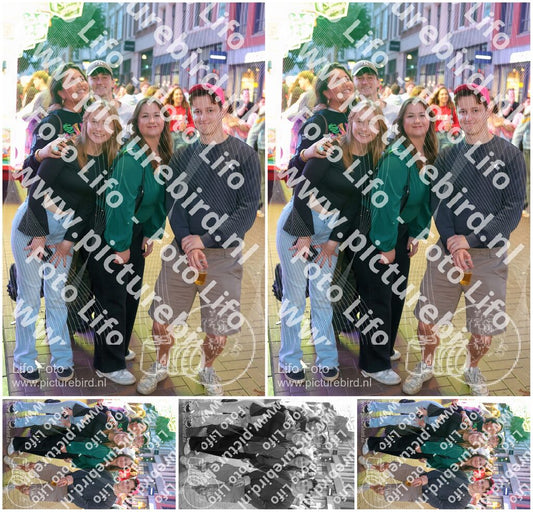 Evenement foto: Nijmeegse Vierdaagse 1108