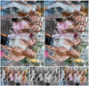 Evenement foto: Nijmeegse Vierdaagse 1107