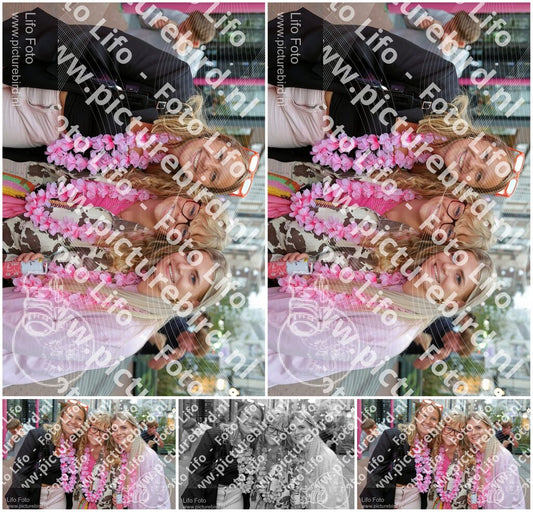 Evenement foto: Nijmeegse Vierdaagse 1106