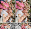 Evenement foto: Nijmeegse Vierdaagse 1037