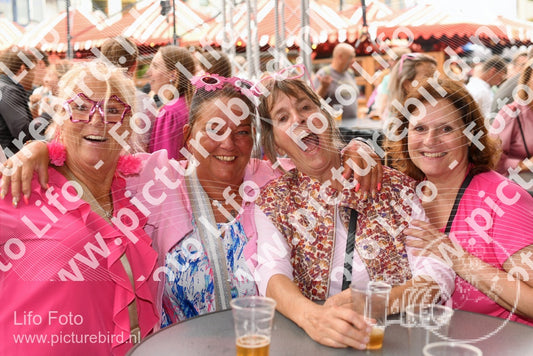 Evenement foto: Nijmeegse Vierdaagse 1037