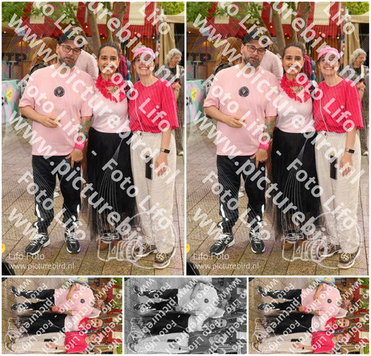 Evenement foto: Nijmeegse Vierdaagse 1036