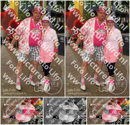 Evenement foto: Nijmeegse Vierdaagse 1036