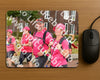 Evenement foto: Nijmeegse Vierdaagse 1034