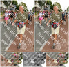 Evenement foto: Nijmeegse Vierdaagse 1034