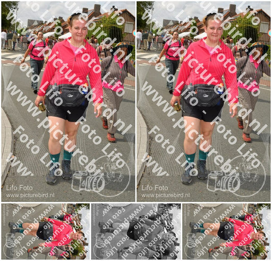 Evenement foto: Nijmeegse Vierdaagse 1034