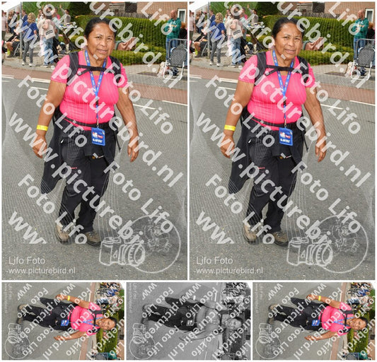 Evenement foto: Nijmeegse Vierdaagse 1034