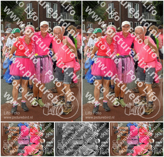 Evenement foto: Nijmeegse Vierdaagse 1033