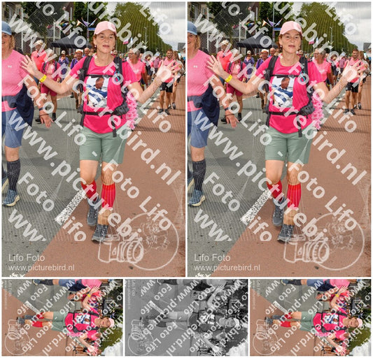 Evenement foto: Nijmeegse Vierdaagse 1033