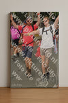 Evenement foto: Nijmeegse Vierdaagse 1033