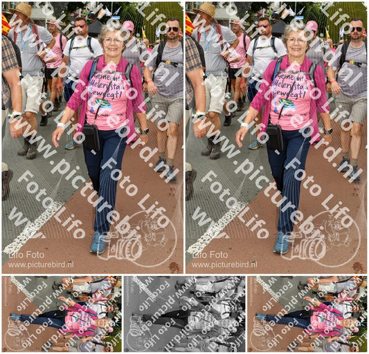 Evenement foto: Nijmeegse Vierdaagse 1033