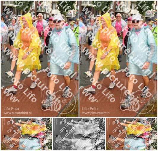 Evenement foto: Nijmeegse Vierdaagse 1032