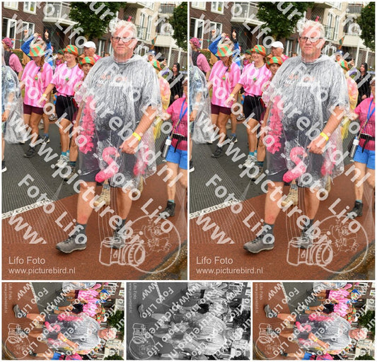 Evenement foto: Nijmeegse Vierdaagse 1032