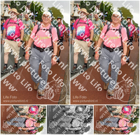 Evenement foto: Nijmeegse Vierdaagse 1032