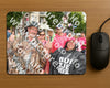 Evenement foto: Nijmeegse Vierdaagse 1032