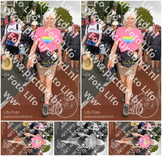 Evenement foto: Nijmeegse Vierdaagse 1032
