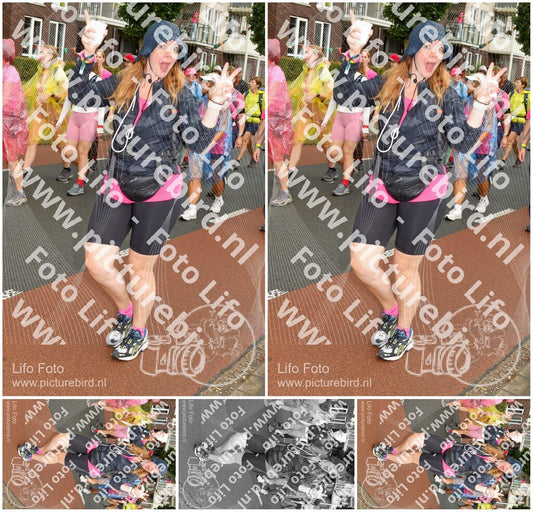 Evenement foto: Nijmeegse Vierdaagse 1032
