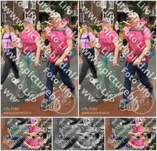 Evenement foto: Nijmeegse Vierdaagse 1032