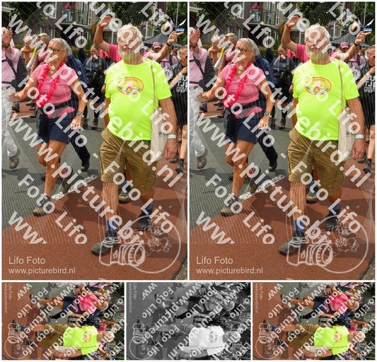 Evenement foto: Nijmeegse Vierdaagse 1032