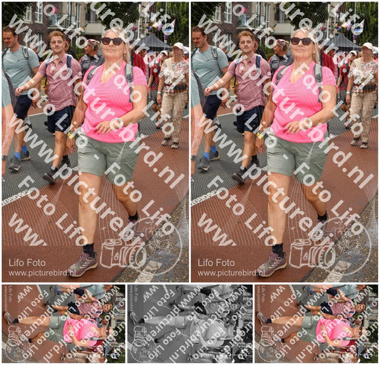 Evenement foto: Nijmeegse Vierdaagse 1032